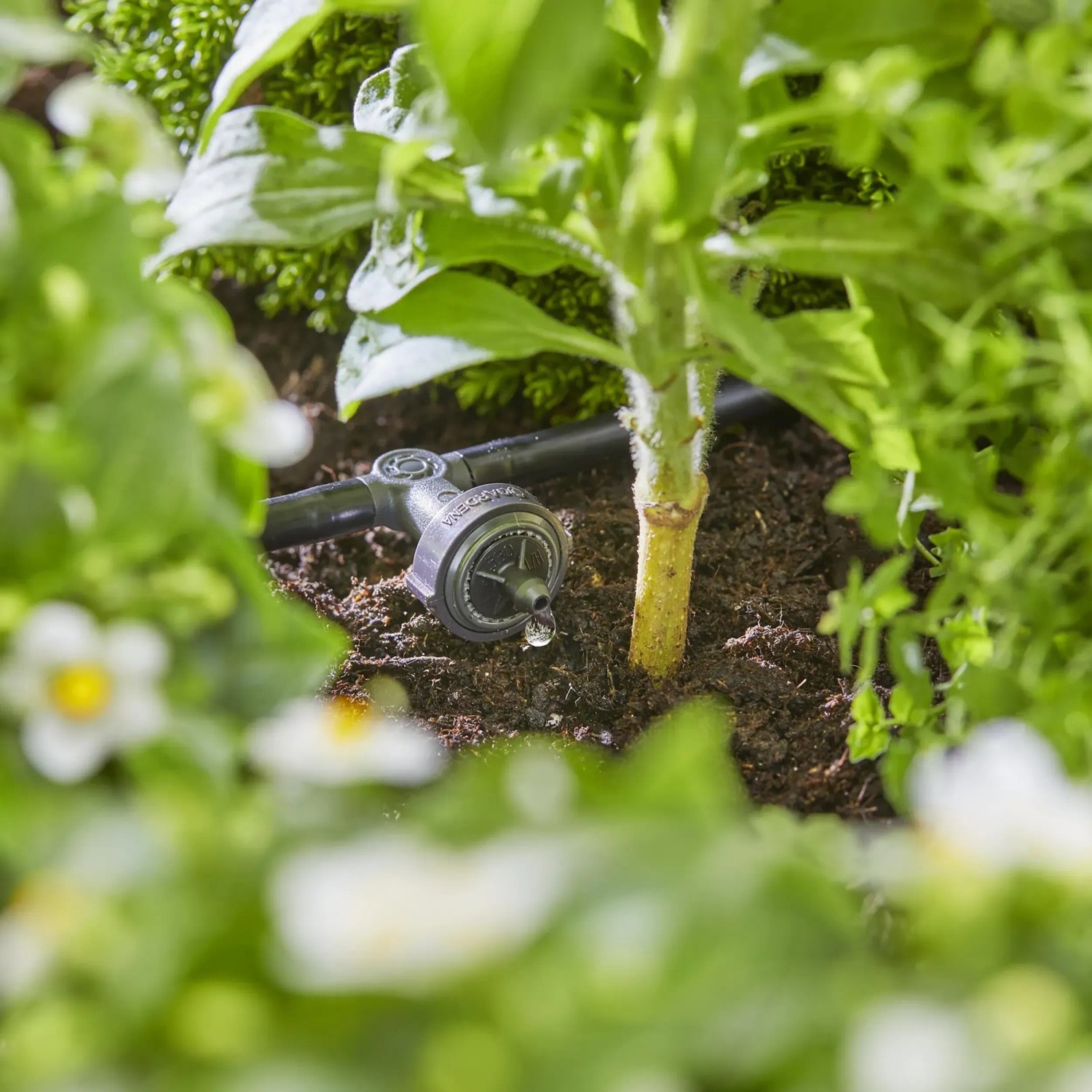Gardena Tropfbewässerung im Beet: Reihentropfer bewässert Pflanze. Micro-Drip-System für 35 Pflanzen.