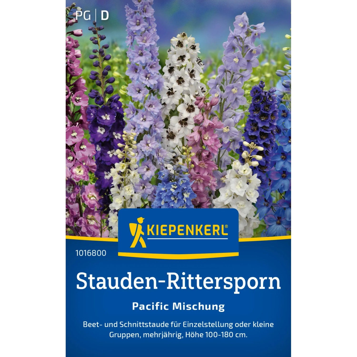 Kiepenkerl Stauden-Rittersporn "Pacific Mischung" Tabernaemontanus