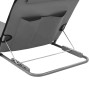furnicato Klappbare Strandmatte 2 Stk. Stahl und Stoff Grau_5