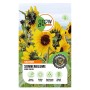Samenpackung GROW by OBI Sonnenblume Henri Wilde, mehrstielige Riesensonnenblume.