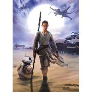 Komar Fototapete STAR WARS Rey mit BB-8 und Raumschiffen im Hintergrund.
