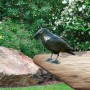 Windhager Krähe zur Vogelabwehr, naturgetreue Taubenabwehr für Garten und Carport.