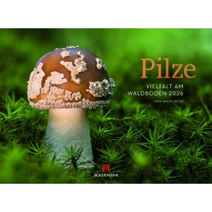 Pilze Kalender 2026