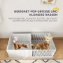 PawHut Wurfkiste für Welpen, weiß, mit Muttertier und Welpen in Freilaufgehege.
