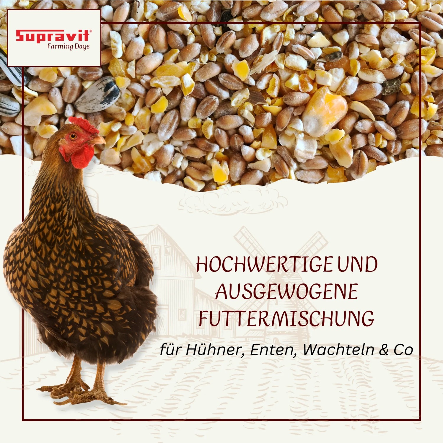Supravit Geflügelkörnerfutter ohne Gentechnik Körnermischung für Geflügel_2
