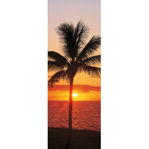 Komar Fototapete Vlies Hawaii, 100x280 cm, mit Palmen-Motiv bei Sonnenuntergang.