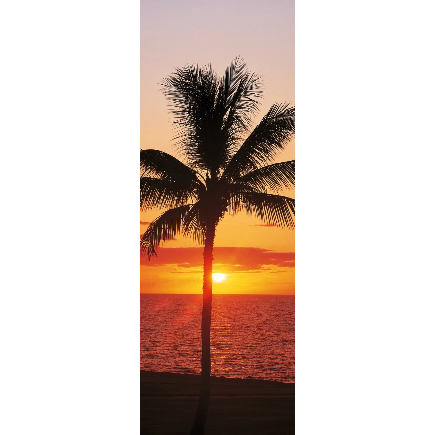 Komar Vliestapete Hawaii