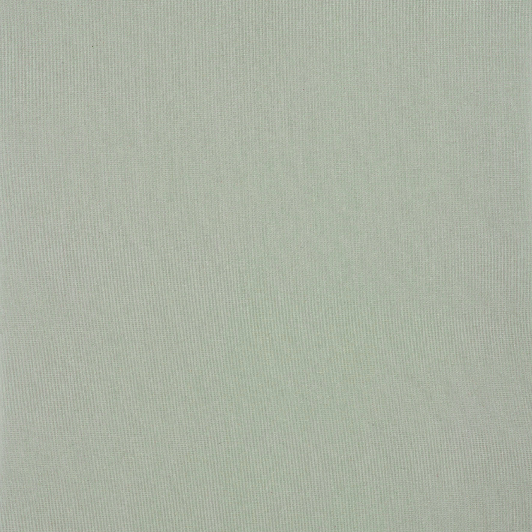 Schöner Wohnen Tageslicht-Rollo Tizia 45 cm x 150 cm Grün