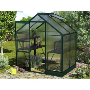 Vitavia Gewächshaus Apollo 2500 Smaragd mit Regalen, Pflanzen und geöffnetem Dachfenster.