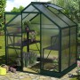 Vitavia Gewächshaus Apollo 2500 Smaragd mit Regalen, Pflanzen und geöffnetem Dachfenster.
