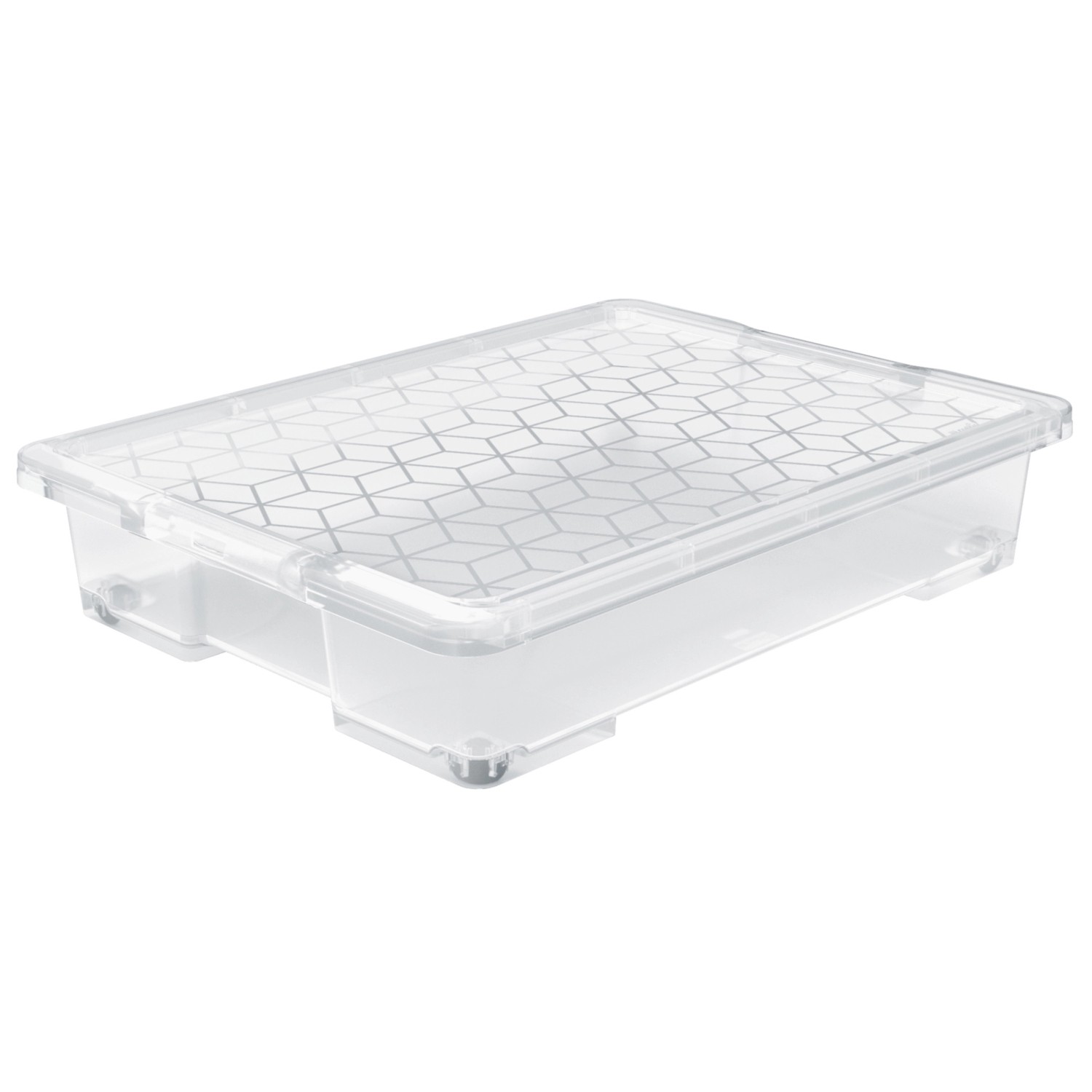 Rotho Unterbettbox Evo Easy 50, Transparent