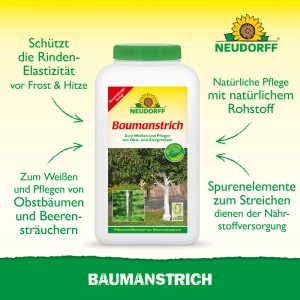 Neudorff Baumanstrich 2l für Obstbäume. Schützt Rinde vor Frost, fördert Elastizität. Anwendungsbild.