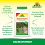 Neudorff Baumanstrich 2l für Obstbäume. Schützt Rinde vor Frost, fördert Elastizität. Anwendungsbild.