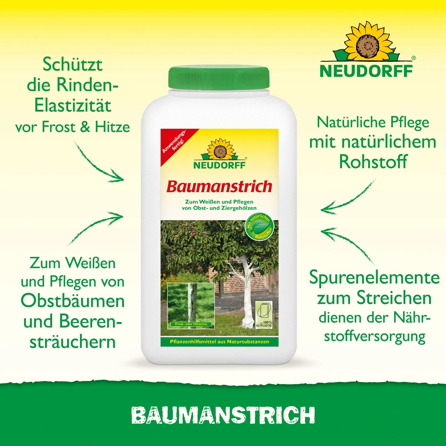 Neudorff Baumanstrich 2l für Obstbäume. Schützt Rinde vor Frost, fördert Elastizität. Anwendungsbild.