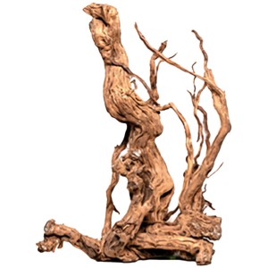 Aquariendeko Curl-Holz S, ca. 30-59 cm, verzweigt und gedreht für natürliche Optik im Aquarium.
