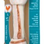 8in1 Delights Pro Dental Kauknochen L mit Hähnchen für Hunde, zur Zahnpflege.