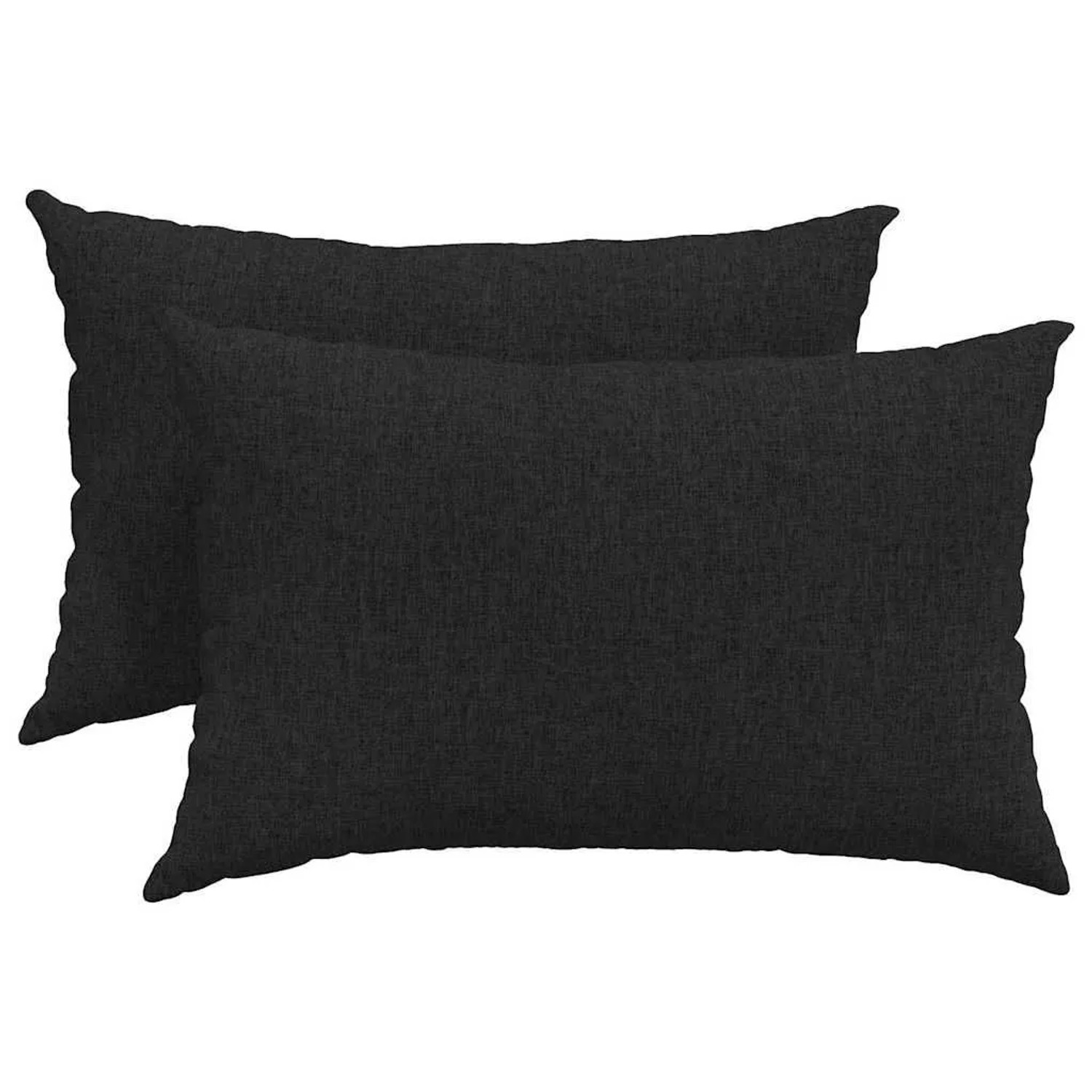 vidaXL Sofakissen 2 Stück Schwarz 60 x 40 cm Stoff 42013655