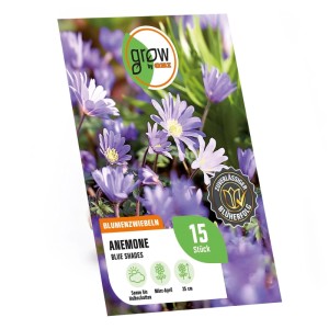 GROW by OBI Anemonen blanda Blue Shades Blau 15 Stück Anemone blanda