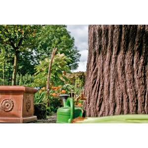 Arves Regentonne Evergreen 475 l Dunkelbraun im Garten mit Zapfhahn und Gießkanne.