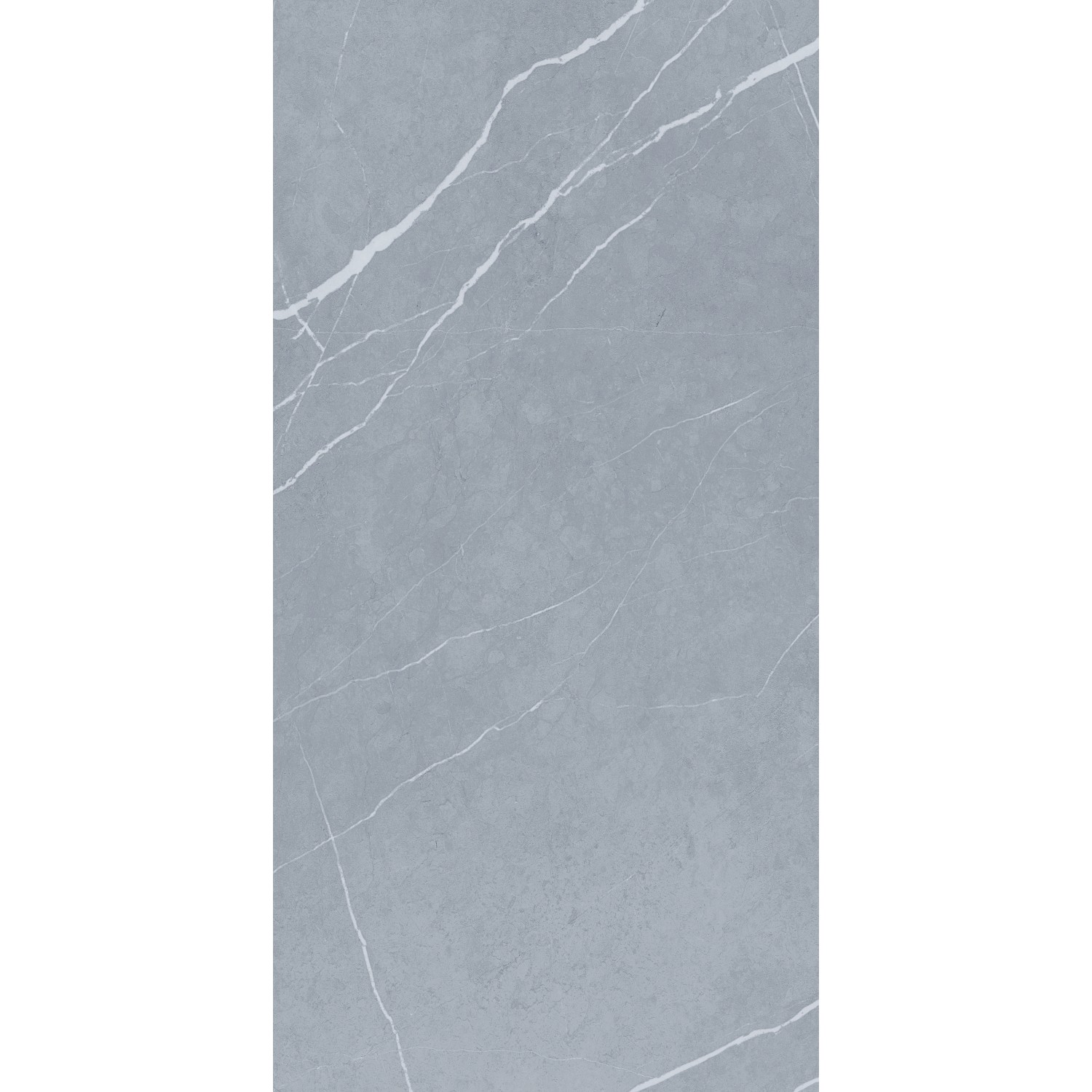 Bodenfliese Navas Feinsteinzeug Dunkelgrau Glasiert Matt Rekt. 60 cm x 120 cm