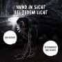 Hund mit reflektierendem Rudelkönig Hundehalsband Paola und Leine für gute Sichtbarkeit im Dunkeln.