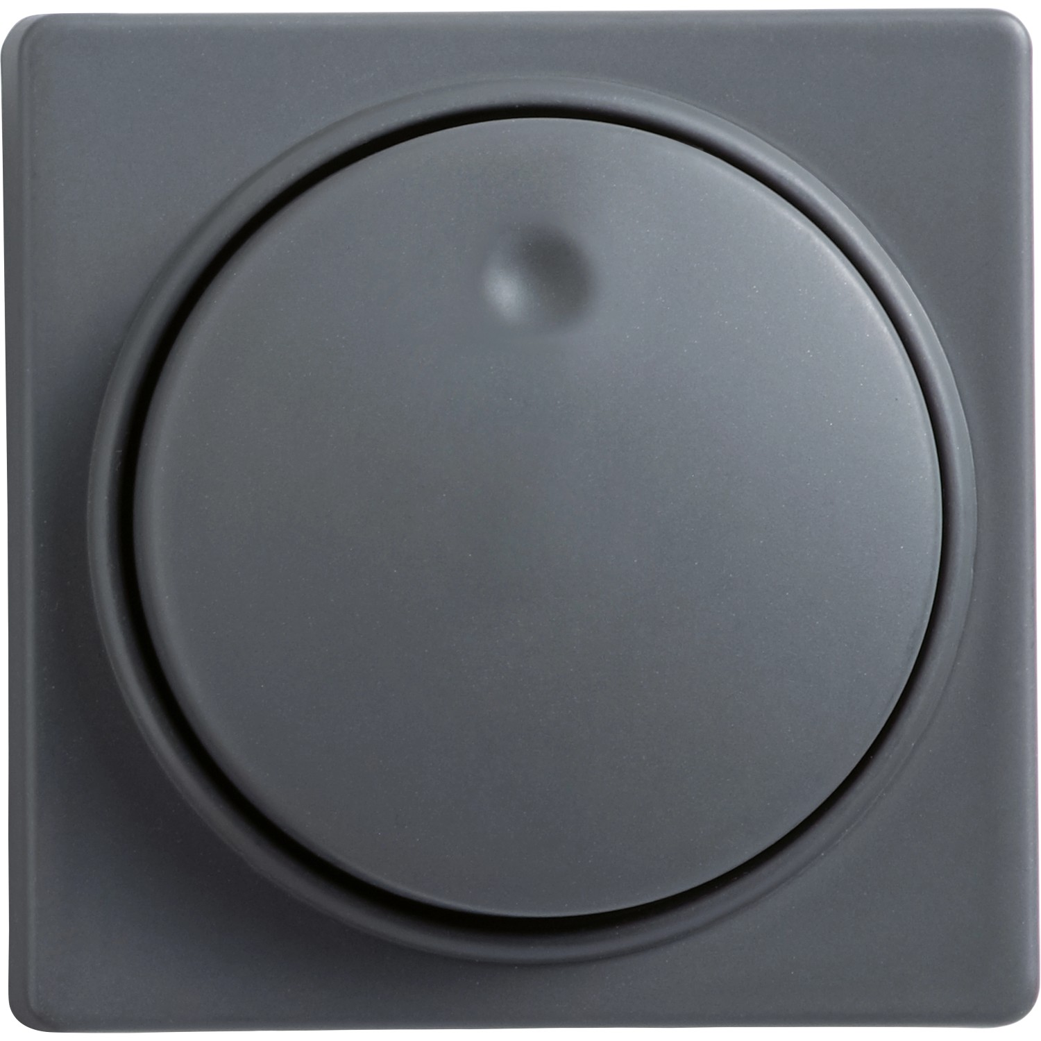 OBI Abdeckung für Dimmer Apollo Coolgray günstig online kaufen