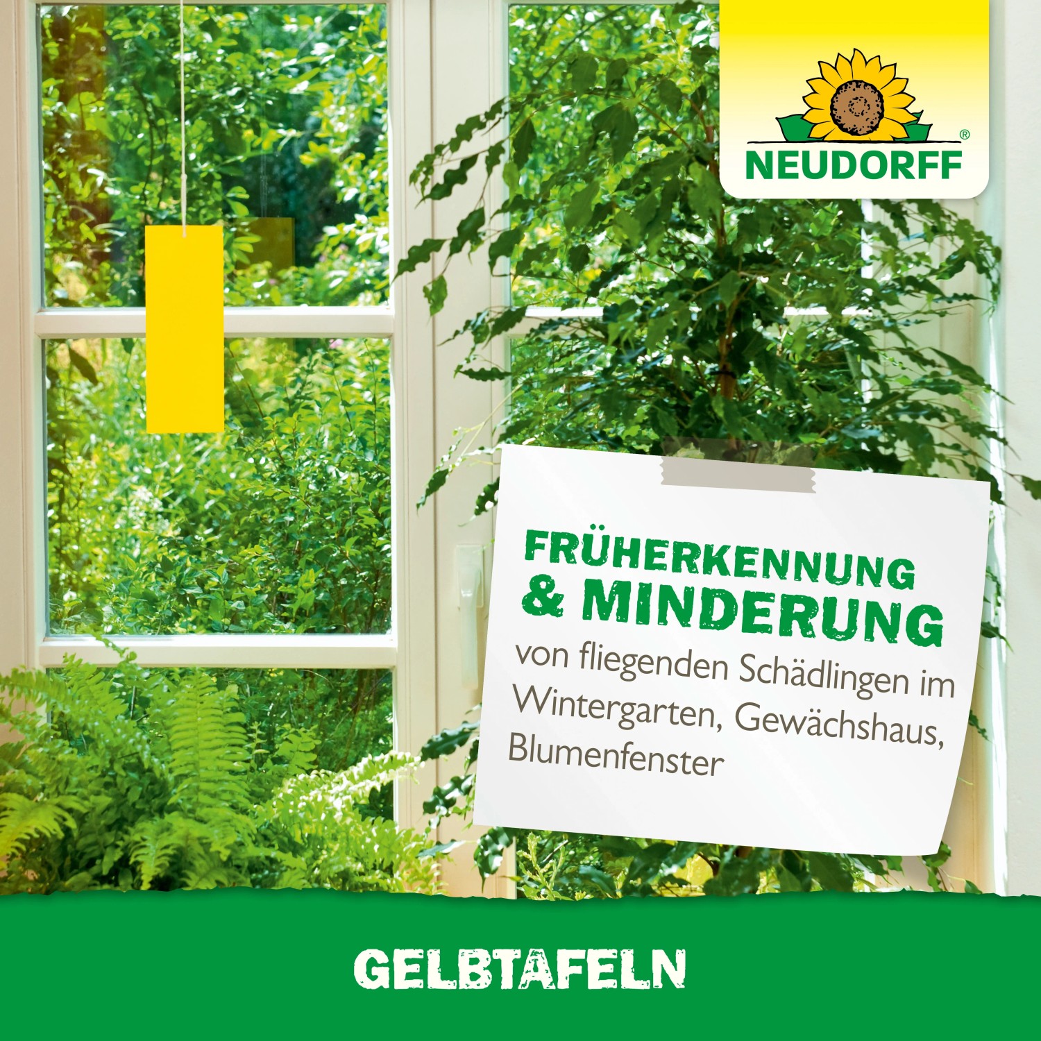 Neudorff Gelbtafeln zur Schädlingsbekämpfung im Gewächshaus und Wintergarten.