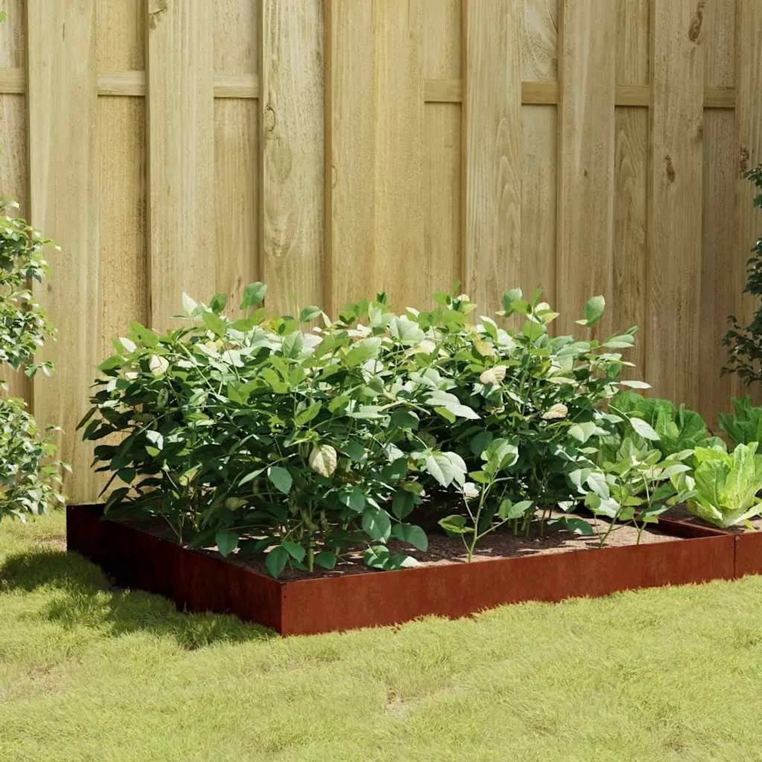vidaXL Hochbeet aus Cortenstahl, 100x100x26 cm, mit grünen Pflanzen im Garten vor Holzzaun.