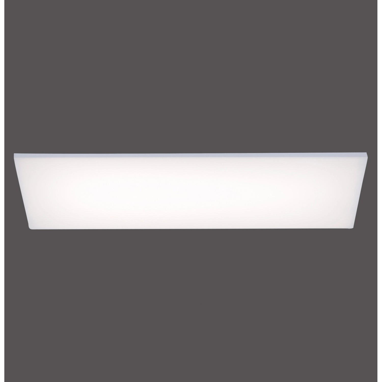 Paul Neuhaus LED-Panel Frameless Weiß 60 x 30 cm