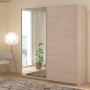 Parisot Kleiderschrank 2-Türig mit Spiegel in Jackson Eiche Schiebetürenschrank 178 x 203 cm Soft-Close Swing_4