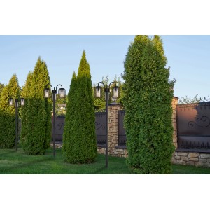 Schwarze, 3-flammige Globo Außenleuchte, 180 cm hoch, im Garten.