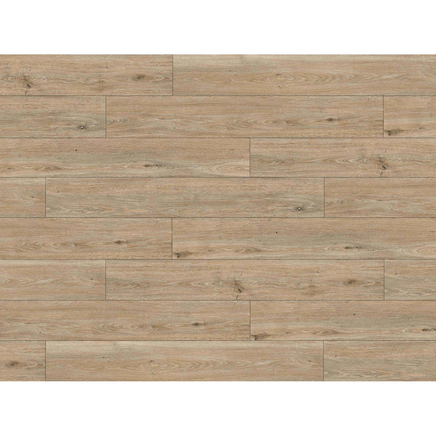 Click-Vinylboden Eiche Siena Landhausdiele, helle Holzoptik, verlegtes Muster.