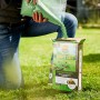 Compo Saat Rasen-Nachsaat: Person schüttet Rasensamen auf eine Packung im Garten.