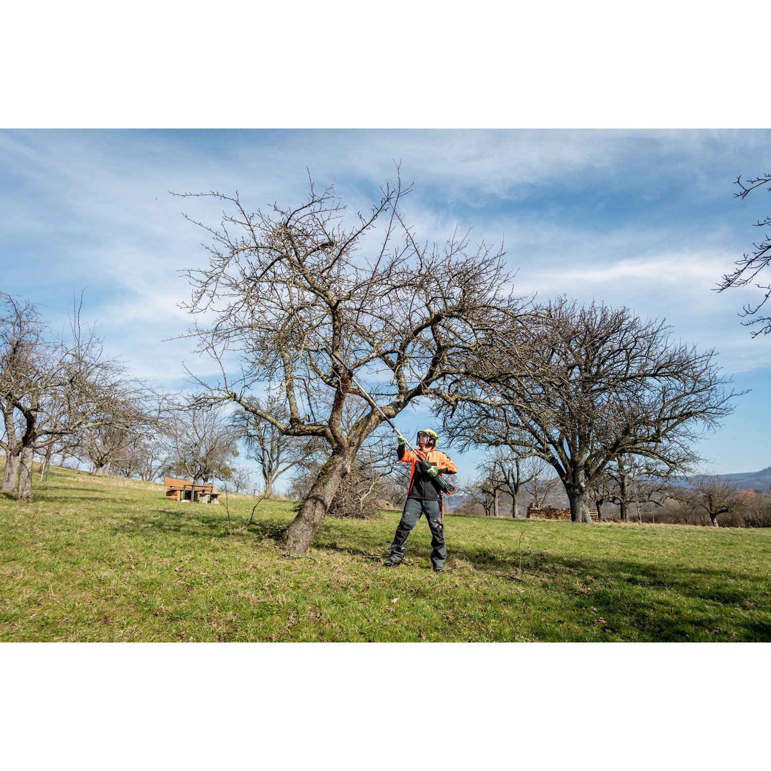 Mann nutzt Metabo Hochentaster-Aufsatz MA-MS 25 zur Baumpflege. Akku-Heckenscheren Aufsatz im Einsatz.