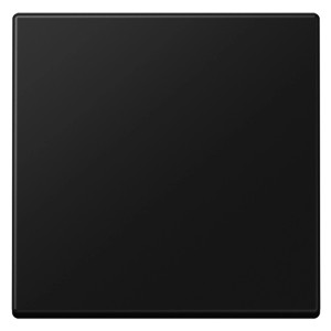Jung Wippe A 550, 1-fach, graphitschwarz matt. Schalterwippe für moderne Raumgestaltung.