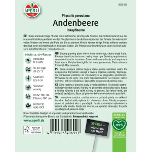 Sperli Andenbeere Inkapflaume Samenpackung, Physalis peruviana, Gemüsesamen.