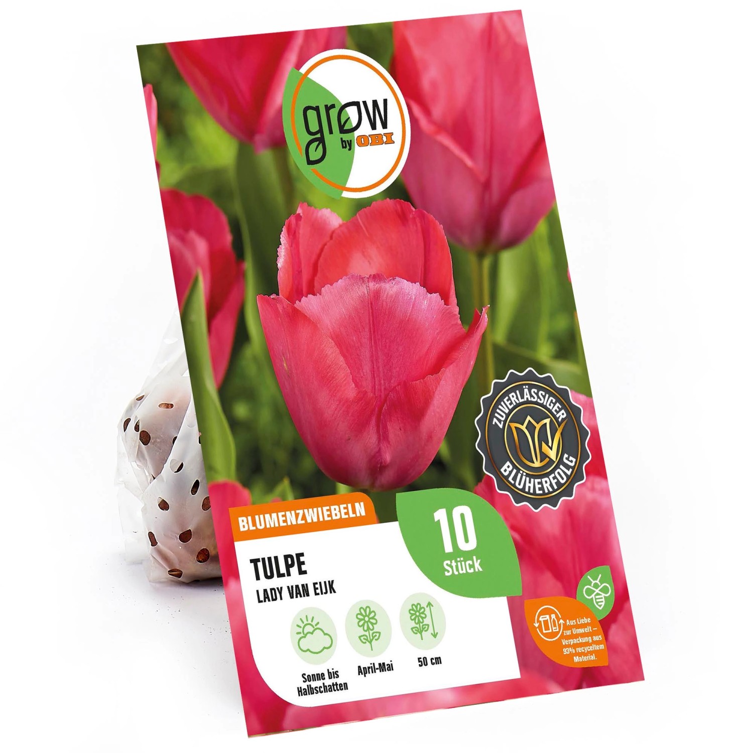 GROW by OBI Tulpe Darwin Hybrid Lady van Eijk Rosa-Rot 50 cm Tulipa