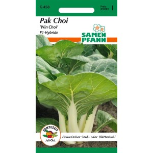 SAMEN PFANN Pak Choi Chinesischer Senfkohl Win Choi F1