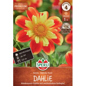 Sperli Blumenzwiebeln Dahlie Pooh