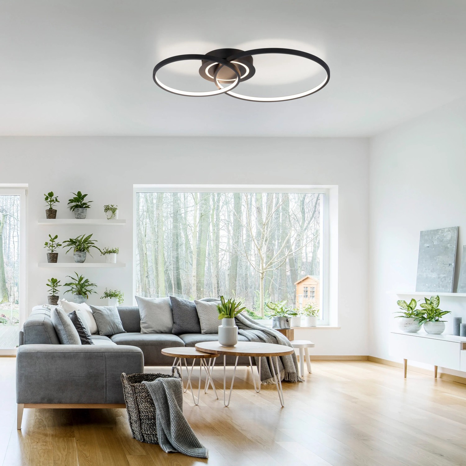 Moderne LED-Deckenleuchte Asmina in Schwarz, 69x55 cm, mit verschlungenen Ringen für Wohnräume.