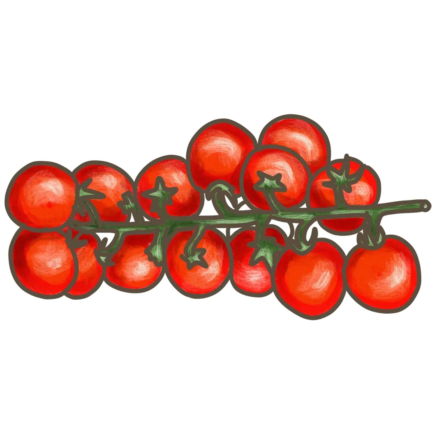 Illustration einer Bio-Cherry-Tomate Pepe am Zweig.