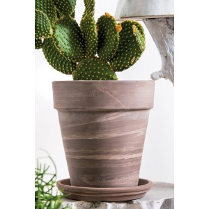 Deroma Pflanztopf Alto Duo, Ø 22 cm, graphit-weiß gestreift, mit Kaktus.