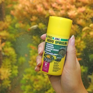 Gelbe Dose JBL Pronovo Spirulina Flakes M Fischfutter für Aquarienfische in Hand vor Aquarium.