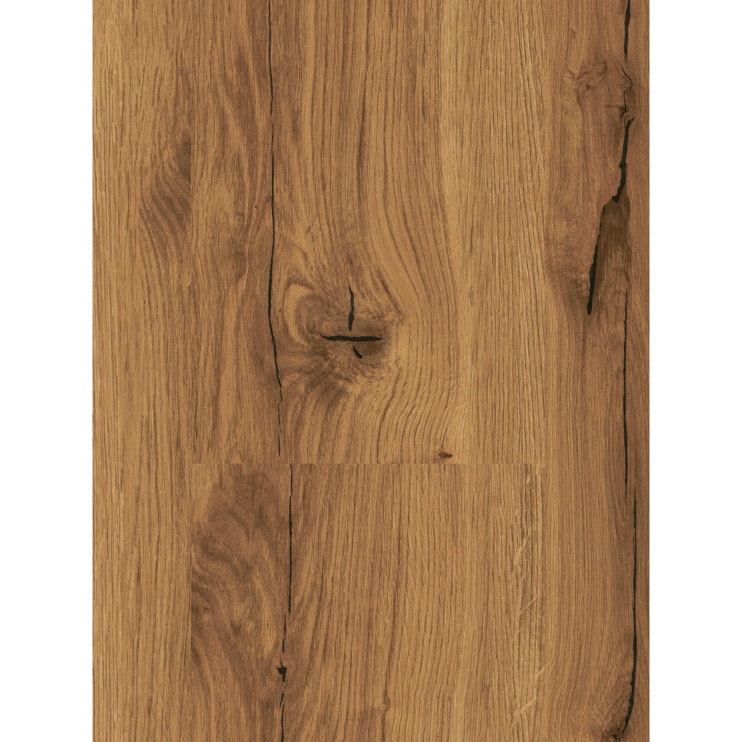 Detailaufnahme: Parador Basic 400 Laminat, 8mm, wasserfest, Eiche History Dekor.