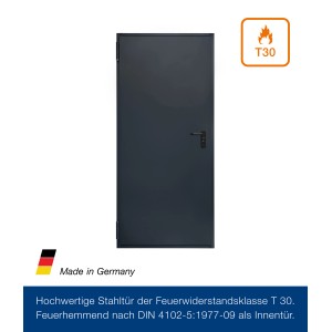 Anthrazitgraue Hörmann Mehrzwecktür H8-5, 100x200 cm, links/rechts verwendbar.