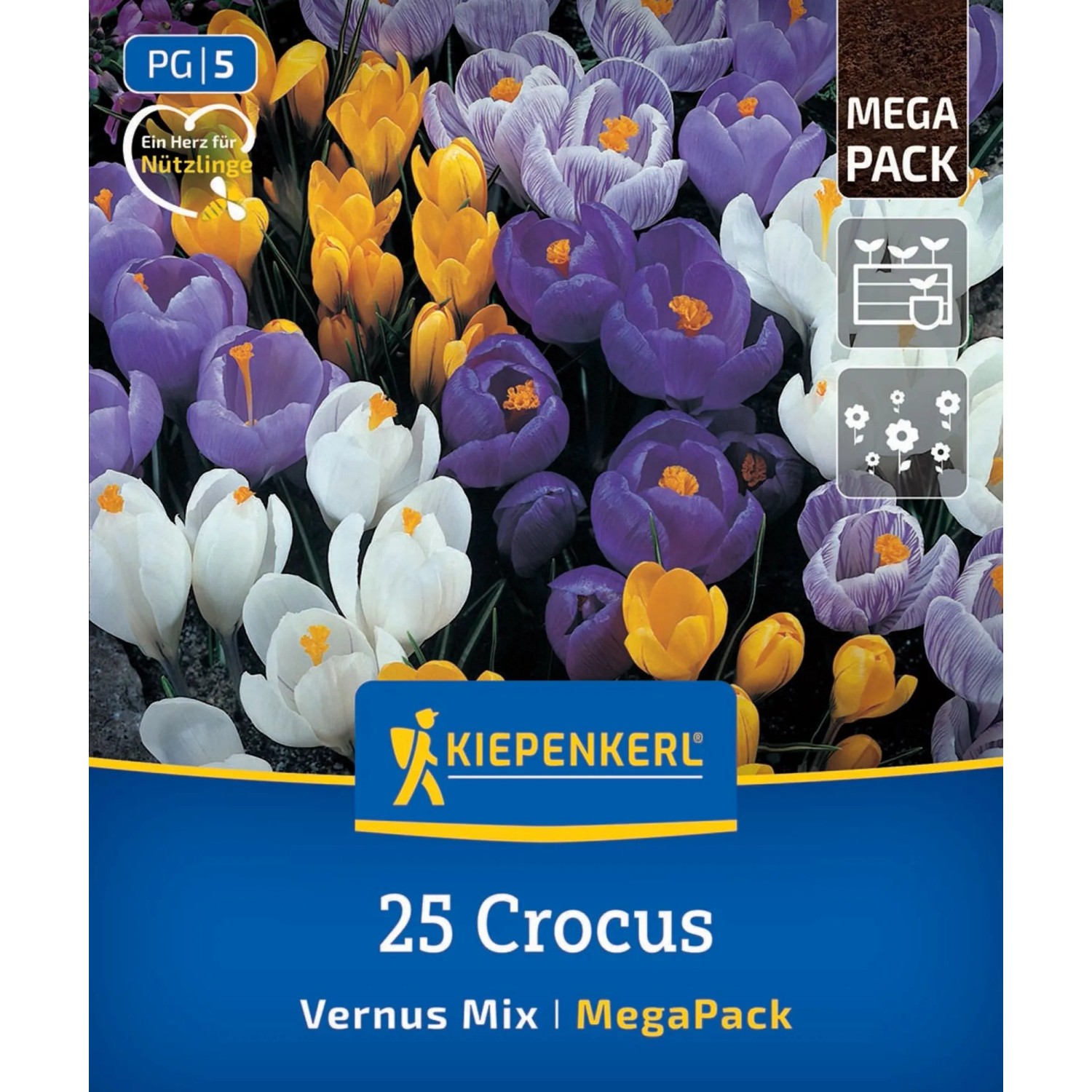 Kiepenkerl Blumenzwiebel Mega-Pack Gartenkrokusmischung 25 Stück