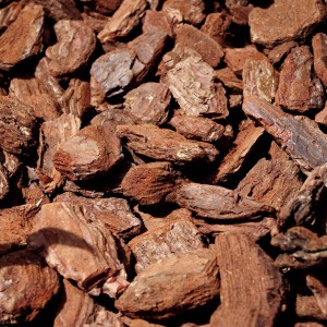 Nahaufnahme von Galamio Pinienrinde Deko Plus, grobe, rötliche Rindenstücke als Bodenabdeckung.