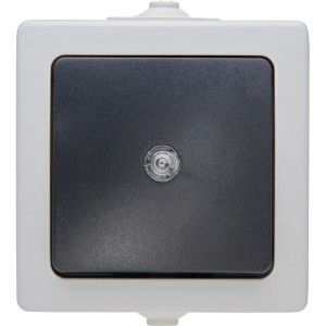 Kopp Taster Nautic Grau für Feuchtraum, Aufputz mit Linse.