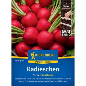 Kiepenkerl Radieschen Ester Saatband: Rote Radieschen mit Saatband auf der Verpackung.
