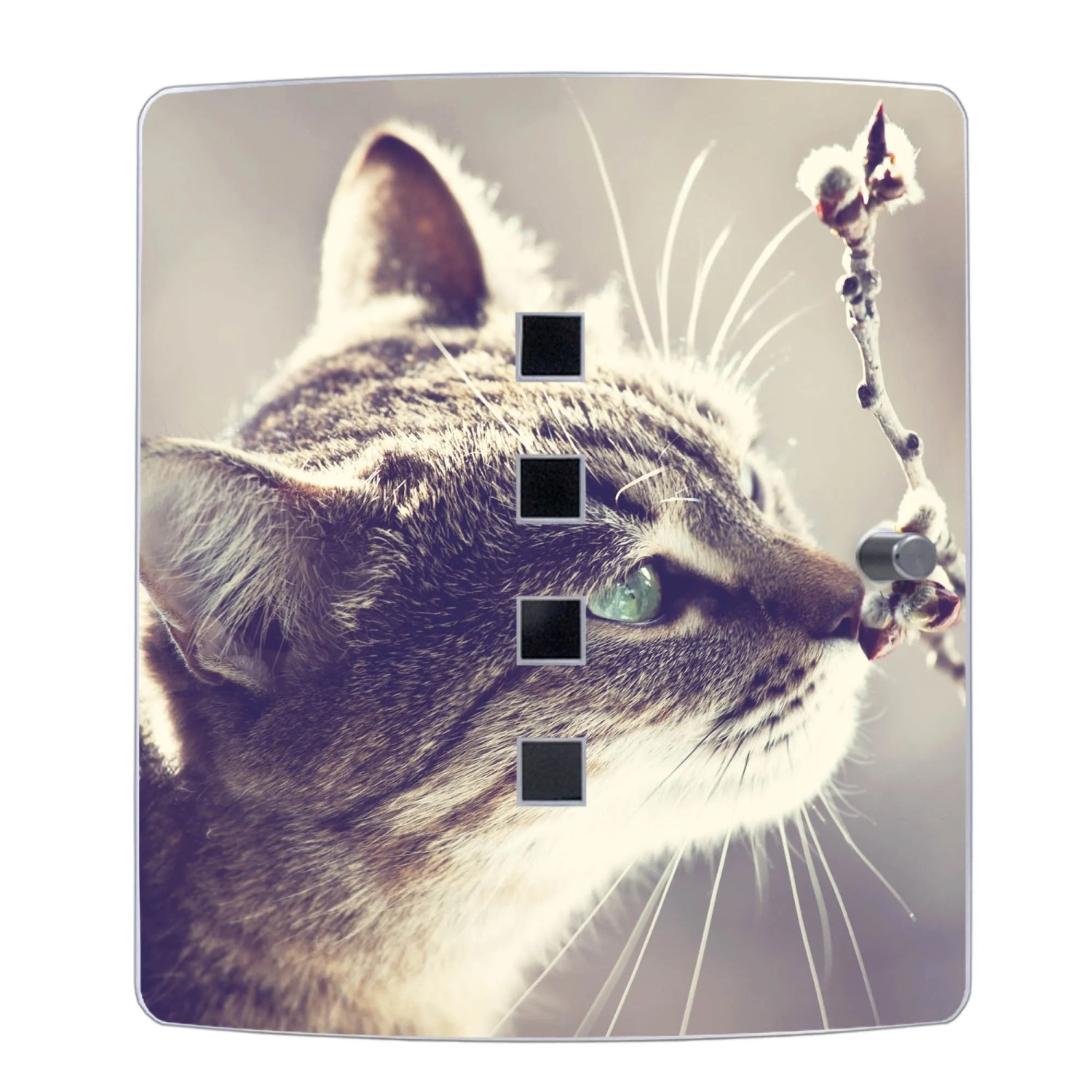 Design Schlüsselkasten mit Katzenmotiv und Weidenkätzchen, Edelstahl, 24x21,5x7cm.